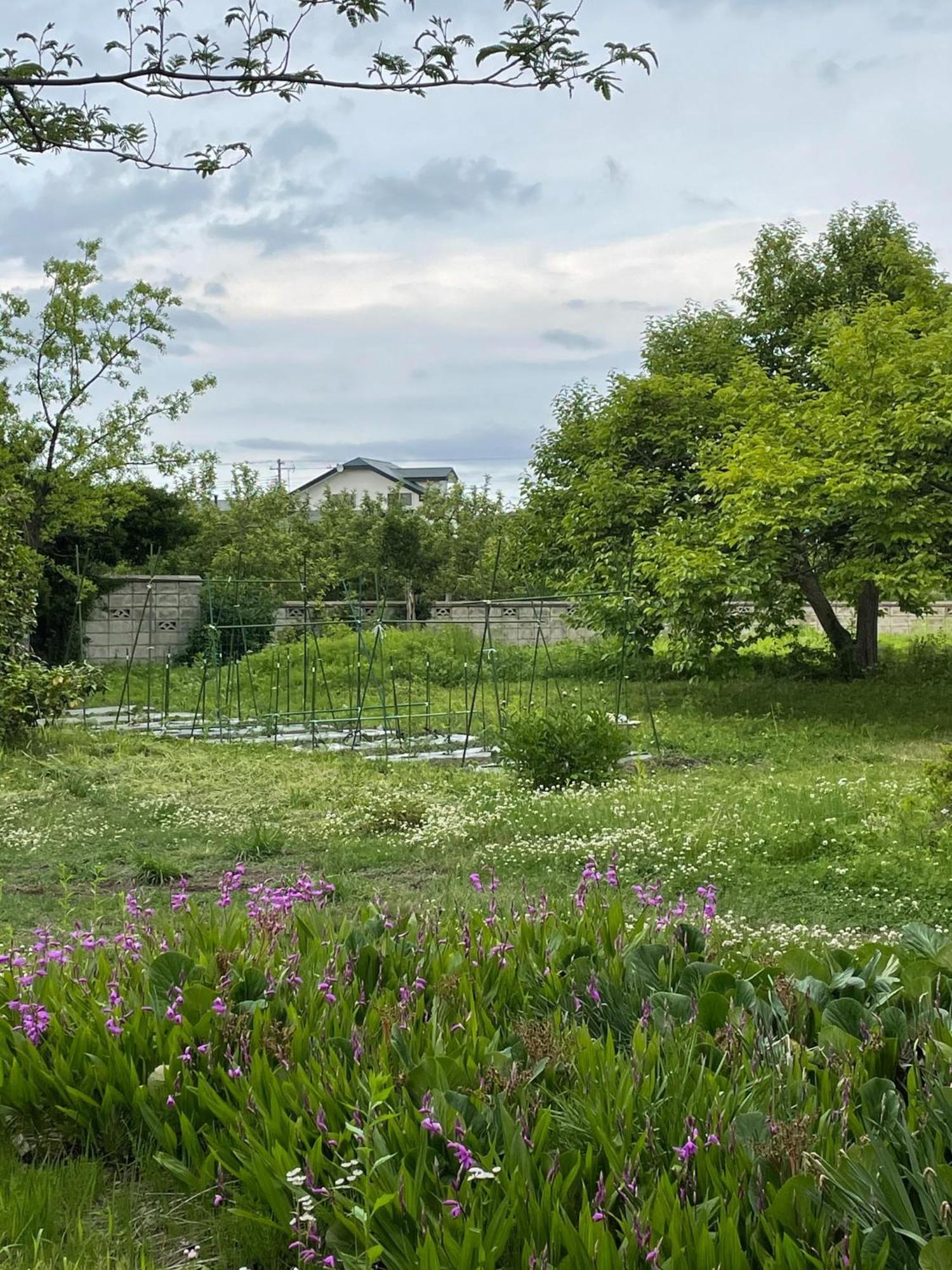 Kuroishi - House - Vacation Stay 87006 מראה חיצוני תמונה